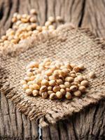 Soybeans on old wood background