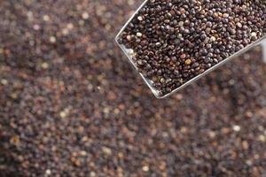 Scoop of Black Quinoa Seeds photo