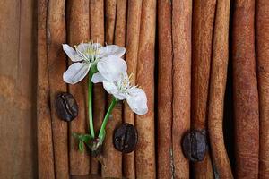cherry flowers and twigs on a wooden background