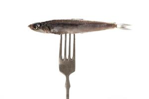 Fresh fish on fork. photo