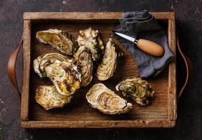 Oysters with oysters knife in box photo