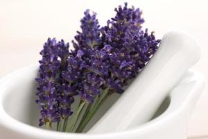Lavender flowers in a mortar photo