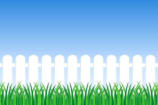 Background of green grass and fence 