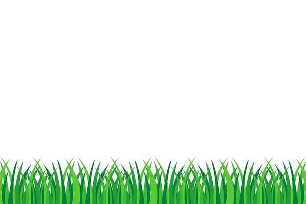 Green grass isolated 