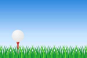 Golf ball on green grass  vector