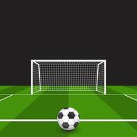 Soccer ball on the grass vector