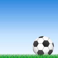 Football ball on green grass and blue sky  vector