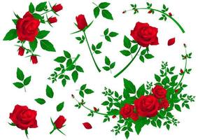 Set of red roses vector