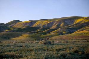 fotografía de paisaje de montaña verde foto