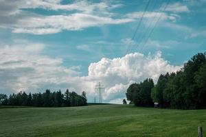 Green field and trees photo