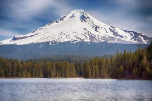 Mountain Covered by Snow photo