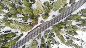 Aerial view of a road in the winter forest photo