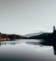 lago con arboles foto