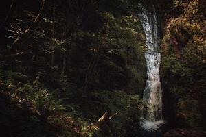 Waterfalls during daytime photo