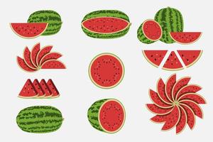 Watermelon set isolated on white vector