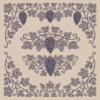 Set of vintage design elements of grape branches and borders vector