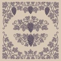 Set of vintage design elements of grape branches and borders vector