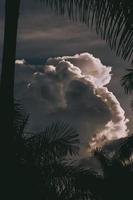 Cumulus cloud above palm trees photo