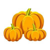 Pumpkin isolated on white vector