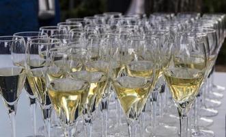 Several glasses of champagne photo