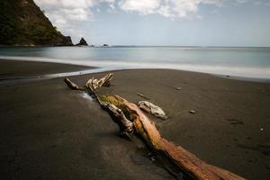 Driftwood en la playa de arena negra foto