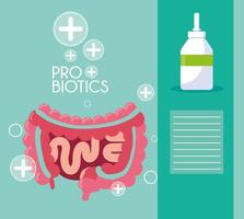 Digestive system with probiotics  vector