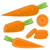 Fresh carrot set isolated  vector
