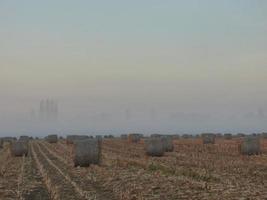 campo con fardos de heno foto