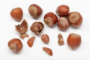 Hazelnuts on a white background photo