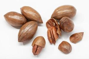 Pecan nuts on a white background photo