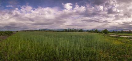 campo de hierba con nubes foto