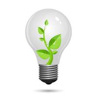 Plant growing inside light bulb isolated  vector