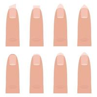 formas de uñas femeninas vector