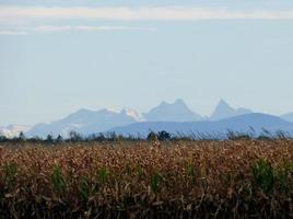 Field in front of mountains photo