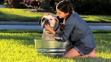 junges Mädchen, das ihre Haustierbulldogge badet