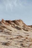Grassy sand dunes photo