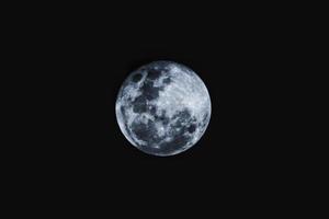 Full round moon  photo