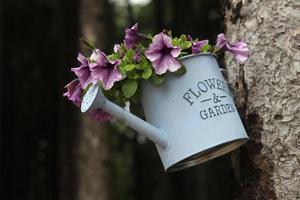 Watering can with flowers photo