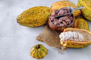 cacao fresco con mazorcas de cacao y granos de cacao foto