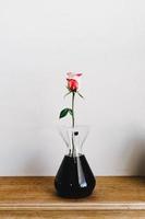 Red and white rose in a vase