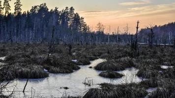 Icy sunset pond photo