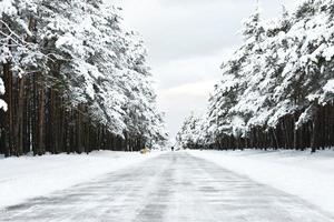 Snowy winter roadway 