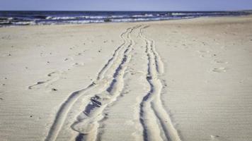 Tracks in the sand photo