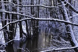 Snowy white forest river photo