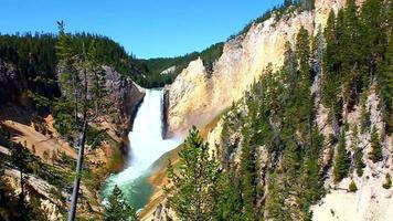 les chutes inférieures de la Yellowstone