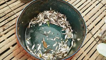Fresh-caught small fishes put inside a metal basin