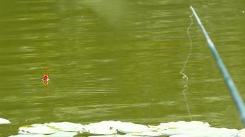 Canne à pêche, bobber flottant dans le lac video