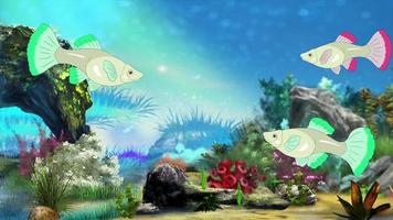 Fish Cartoon Stock Video Footage for Free Download Fish Cartoon Stock Video Footage for Free Download