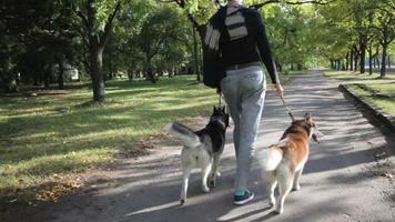 meisje model wandelen in het park met honden