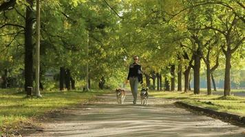 meisje model wandelen in het park met honden
